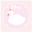 Stickers cuad. Cisne 16u Pers